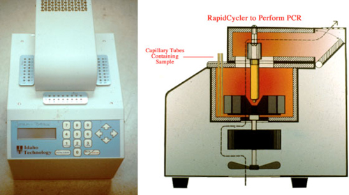 RapidCycler