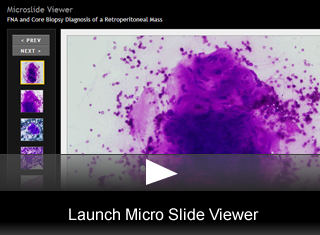 Launch Viewer