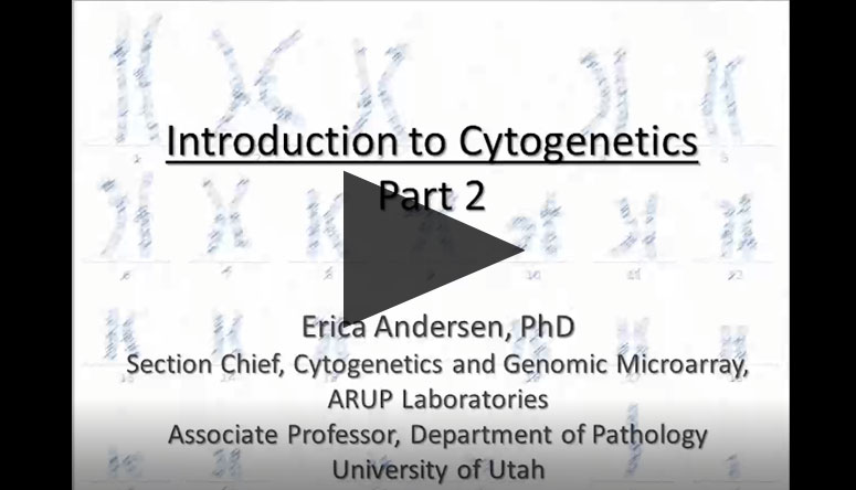 Cytogenetics 2