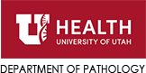 University of Utah Department of Pathology
